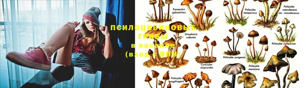 тгк Баксан