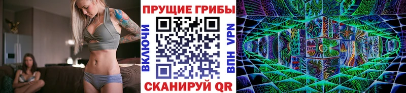 мега ТОР  Курильск  Галлюциногенные грибы мухоморы  купить наркотики цена 